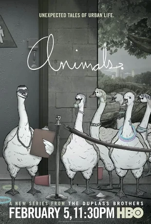 Animals Poster Gänse