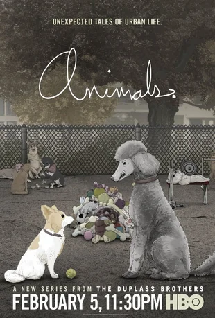 Animals Poster Hunde