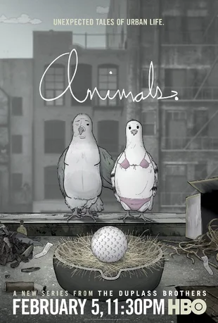 Animals Poster Tauben