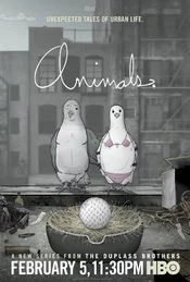 Animals Poster Tauben