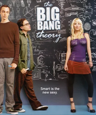 The Big Bang Theory Poster Staffel 1