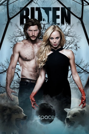 Poster 4 Staffel 1
