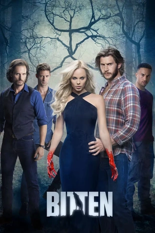 Staffel 1 Serienposter 5