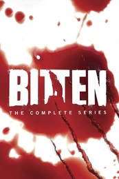 Staffel 1 Serienposter 3