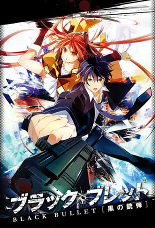 Black Bullet Poster