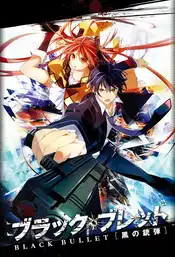 Black Bullet Poster
