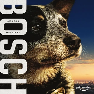 Bosch Poster 7 Staffel 6