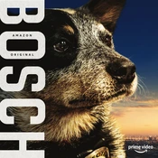 Bosch Poster 7 Staffel 6
