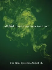 Breaking Bad Poster Saffel 5