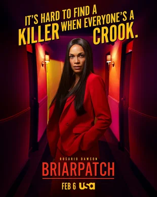 Briarpatch Poster