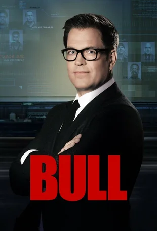 Bull Poster Staffel 6