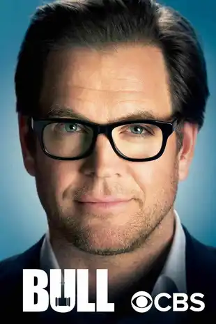 Bull Poster Staffel 3