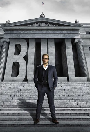 Bull Poster