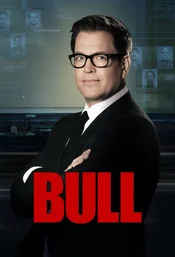 Bull Poster Staffel 6