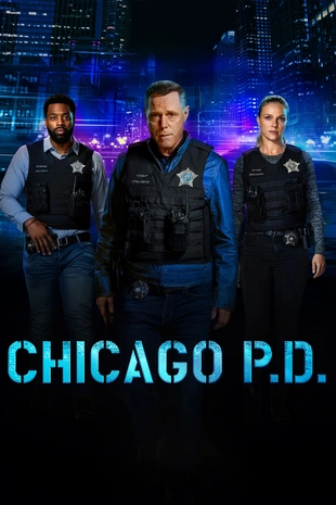 Poster zur Staffel 12