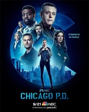 Poster zur Staffel 10