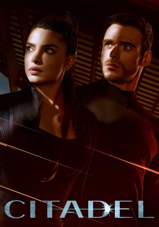 Citadel Poster