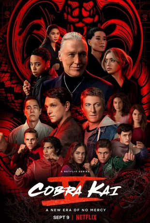 Poster zur Staffel 6