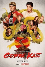 Staffel 3 Serienposter