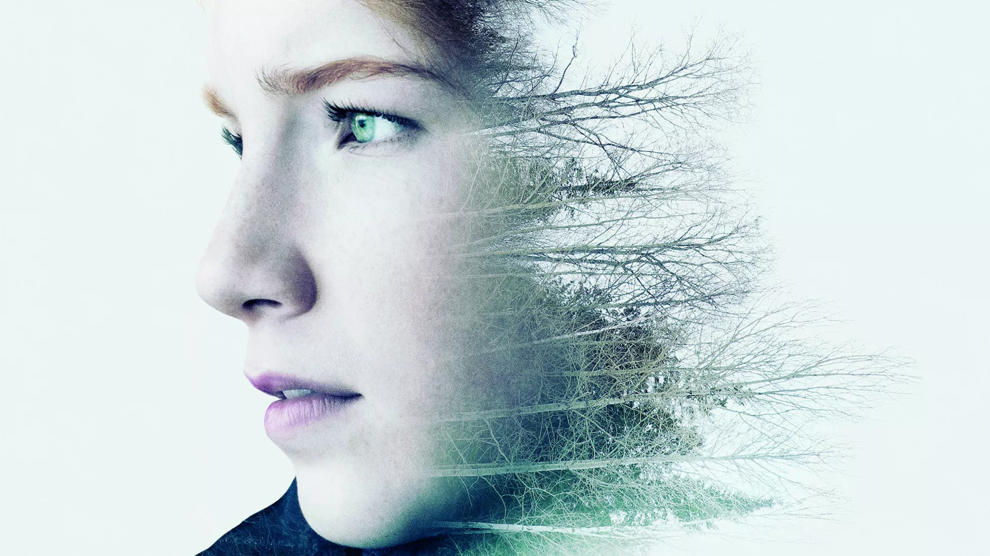 Cold - Episodenguide und News zur Serie