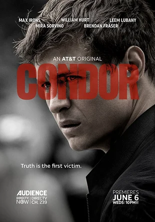 Condor Poster
