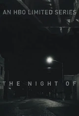 The Night Of - Die Wahrheit einer Nacht