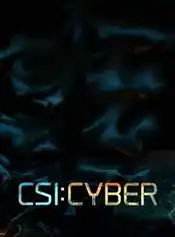 CSI: Cyber Poster 2 Staffel 1