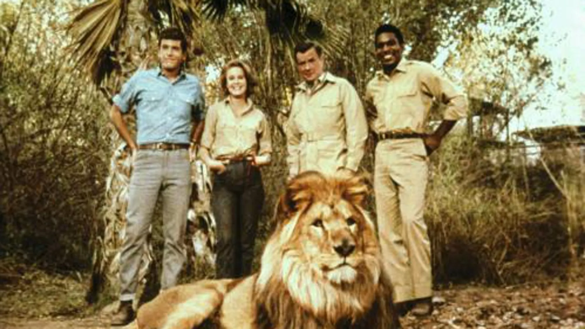 Daktari - Episodenguide und News zur Serie