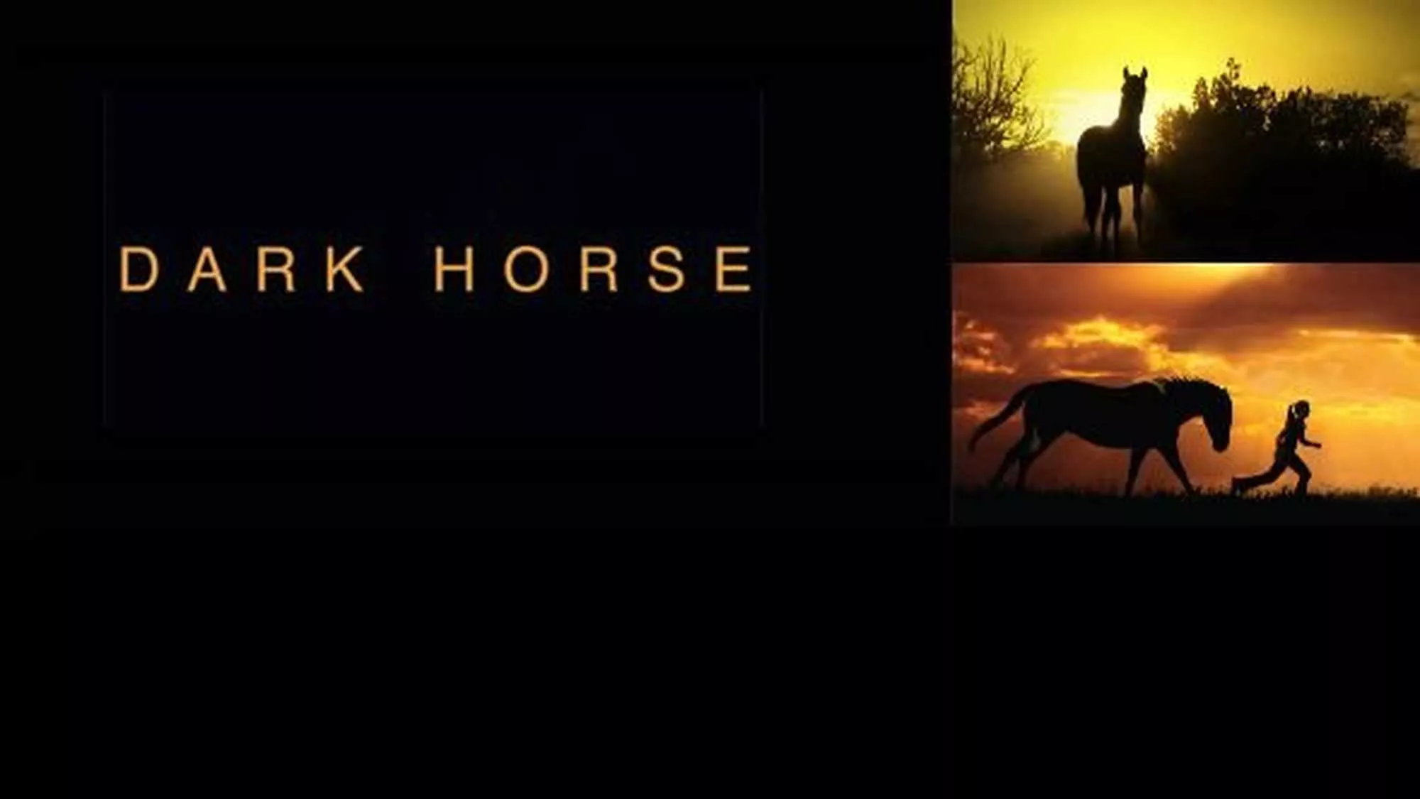 Dark Horse - Episodenguide und News zur Serie