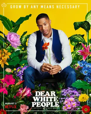 Dear White People Poster 5 Staffel 3