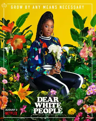 Dear White People Poster 6 Staffel 3