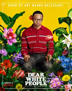 Dear White People Poster 8 Staffel 3