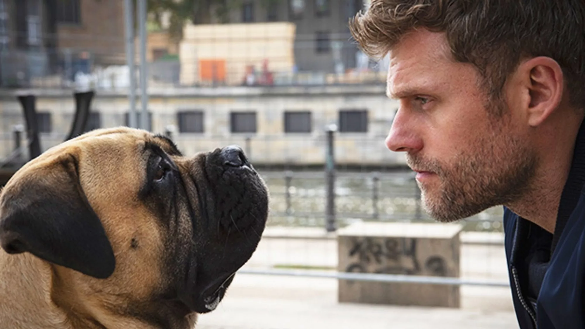 Der Bulle und das Biest - Streams, Episodenguide und News zur Serie
