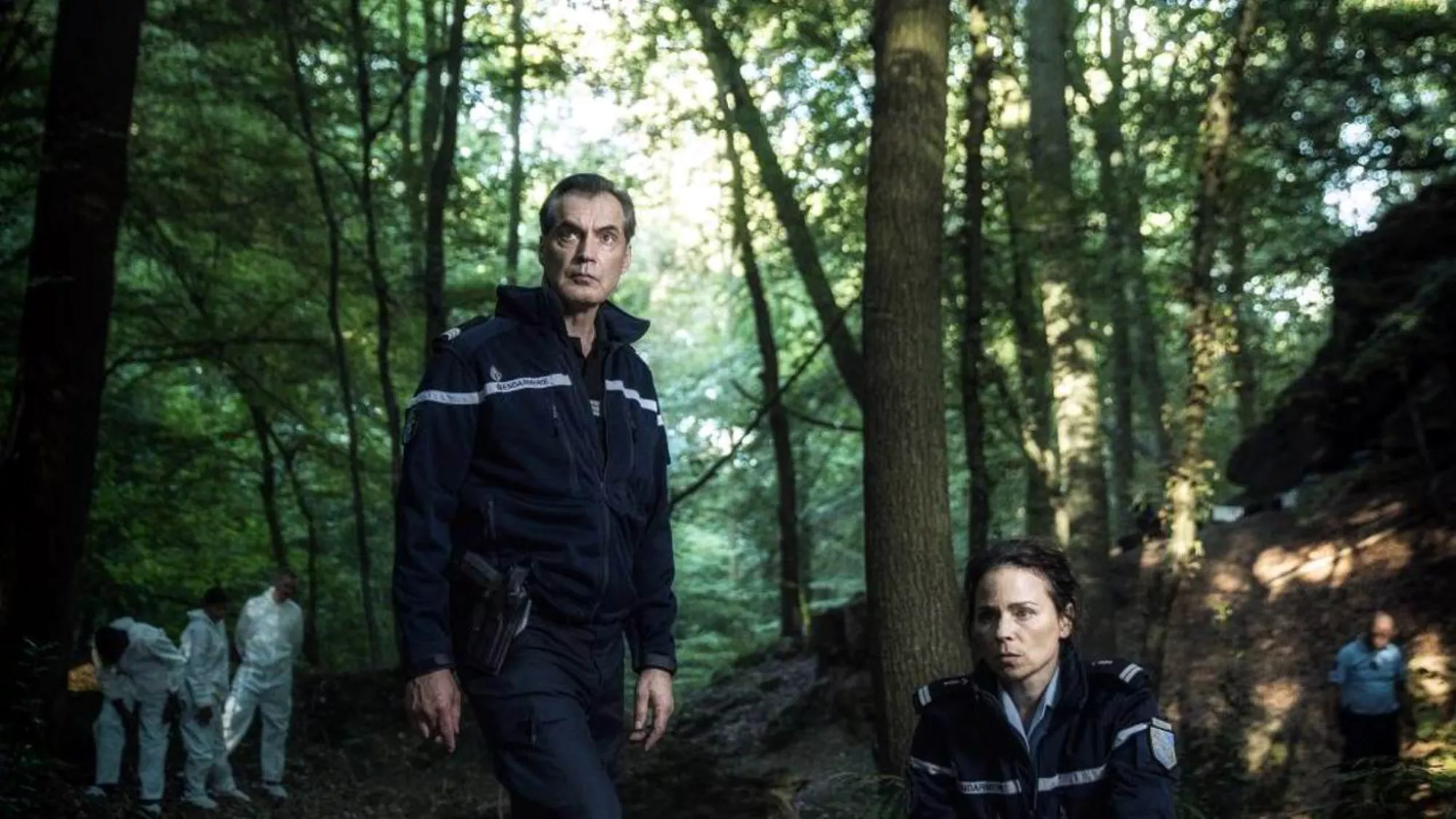 Der Wald - Streams, Episodenguide und News zur Serie