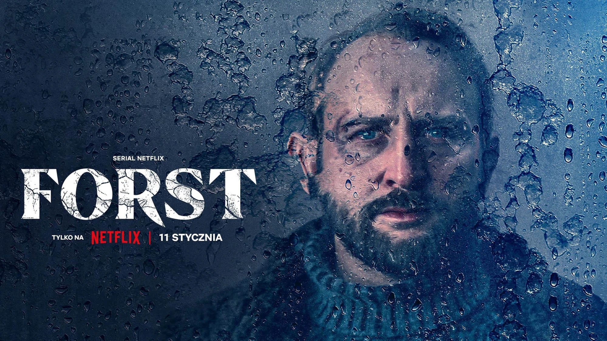 Detective Forst - Streams, Episodenguide und News zur Serie