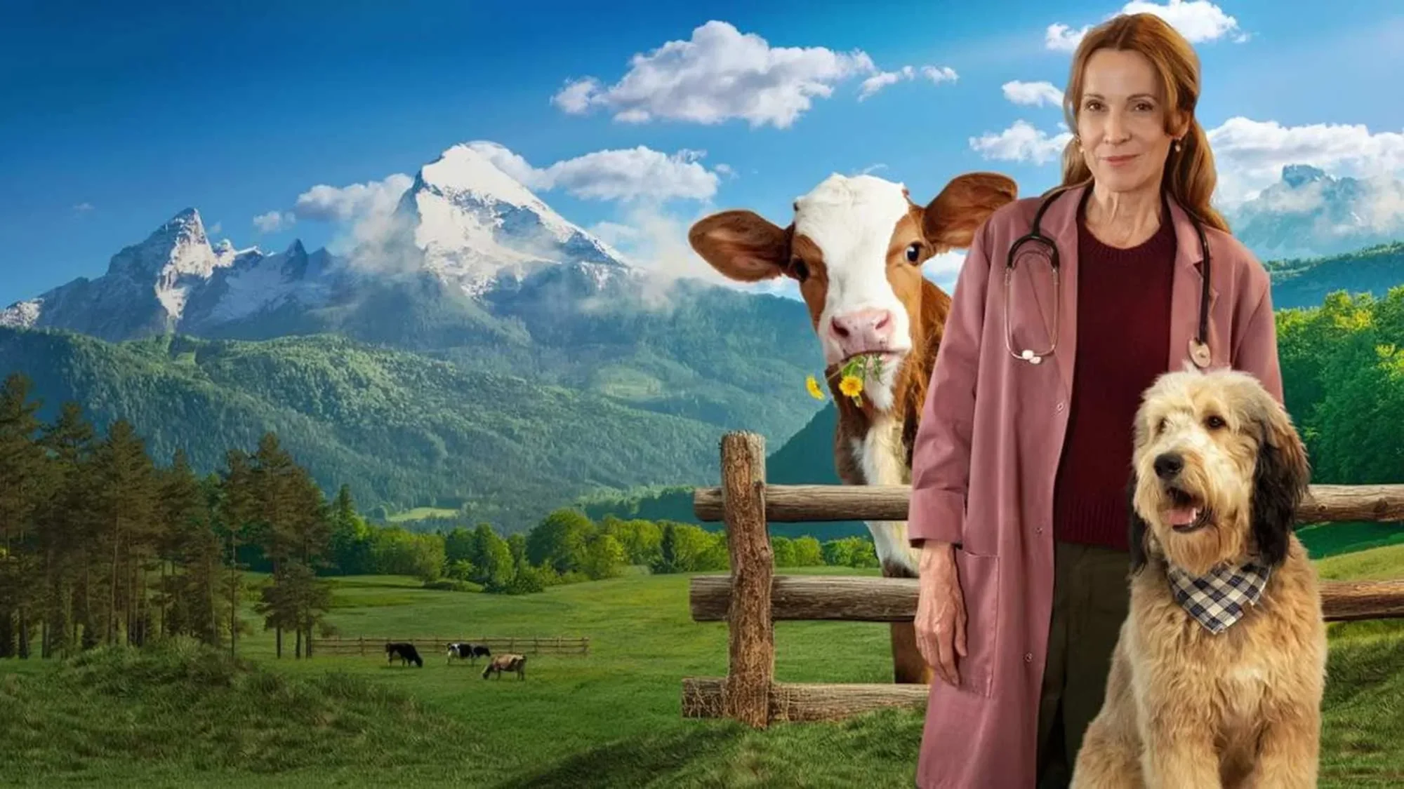 Die Maiwald - Episodenguide und News zur Serie