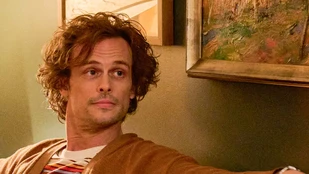 Matthew Gray Gubler als Einstein