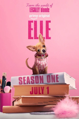 Serienposter