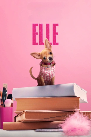 Poster zur Staffel 2