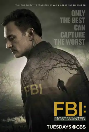 FBI: Most Wanted Poster 2 Staffel 1