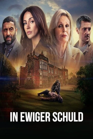 Fool Me Once Poster