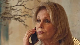 Joanna Lumley als Judith Burkett