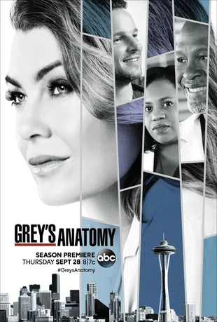 Grey's Anatomy Poster Staffel 14