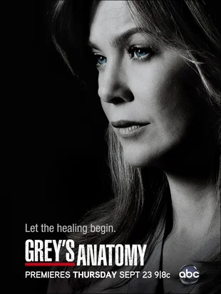 Grey's Anatomy Poster Staffel 10