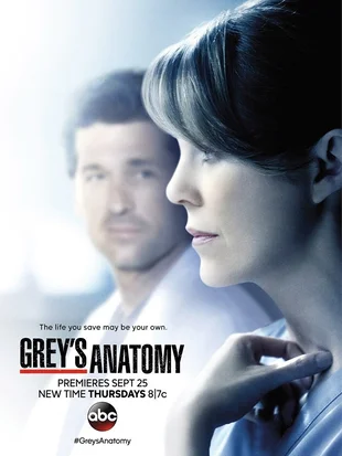 Grey's Anatomy Poster Staffel 11