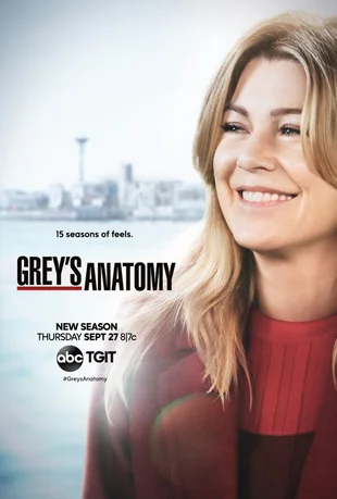 Grey's Anatomy Poster Staffel 15