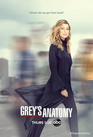 Grey's Anatomy Poster Staffel 16