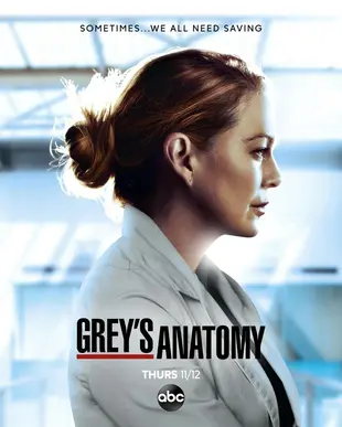 Grey's Anatomy Poster Staffel 17
