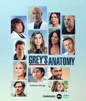 Grey's Anatomy Poster 4 Staffel 18