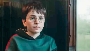 Dominic McLaughlin als Harry Potter